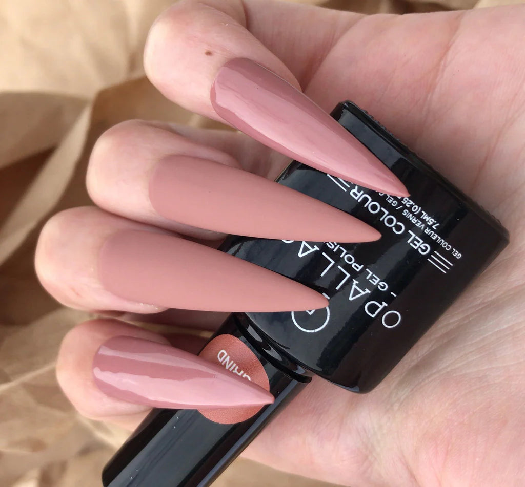 Load image into Gallery viewer, Nude Gel Polish Kit