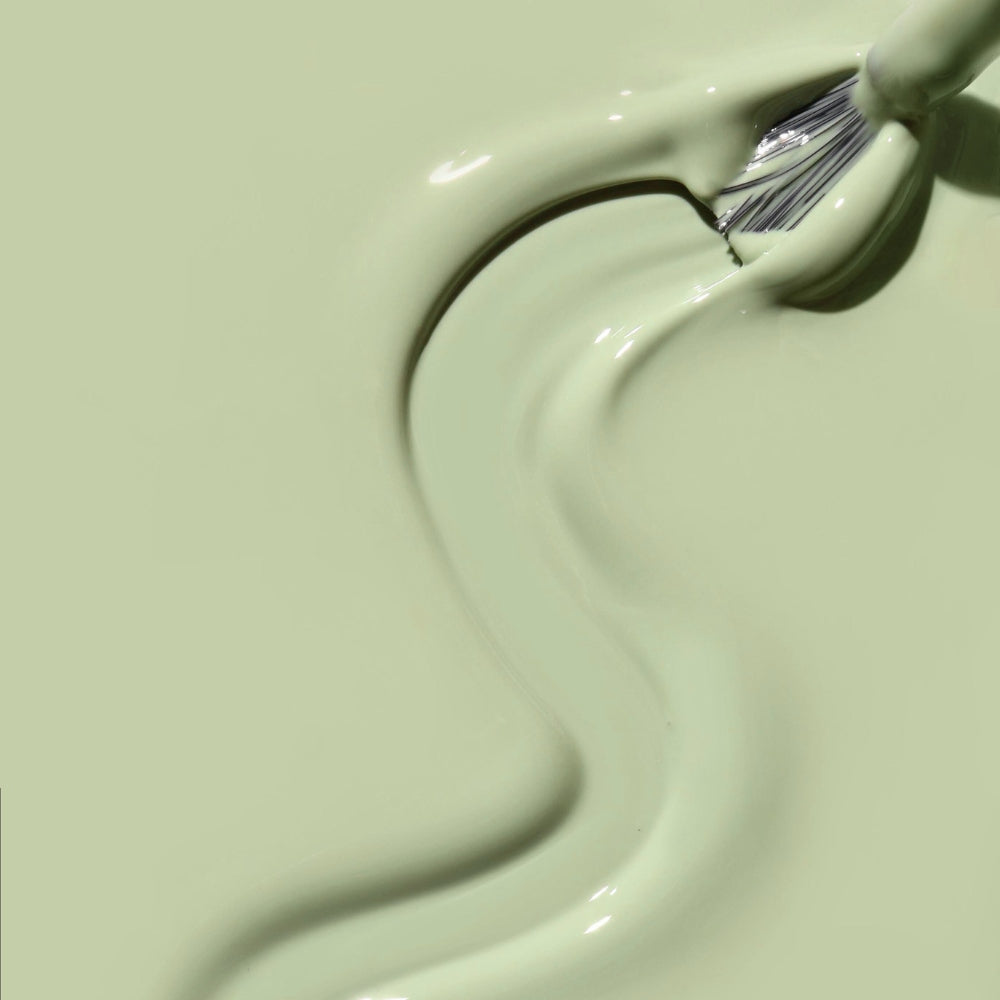 Load image into Gallery viewer, Sage