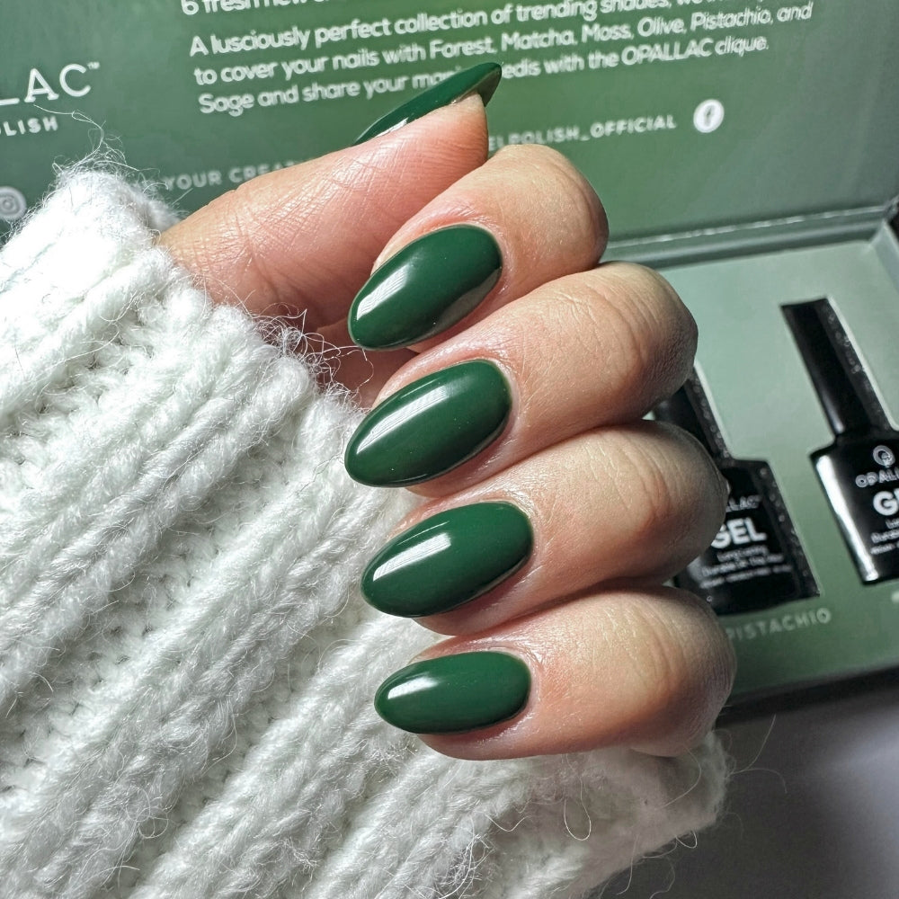 Load image into Gallery viewer, Forest