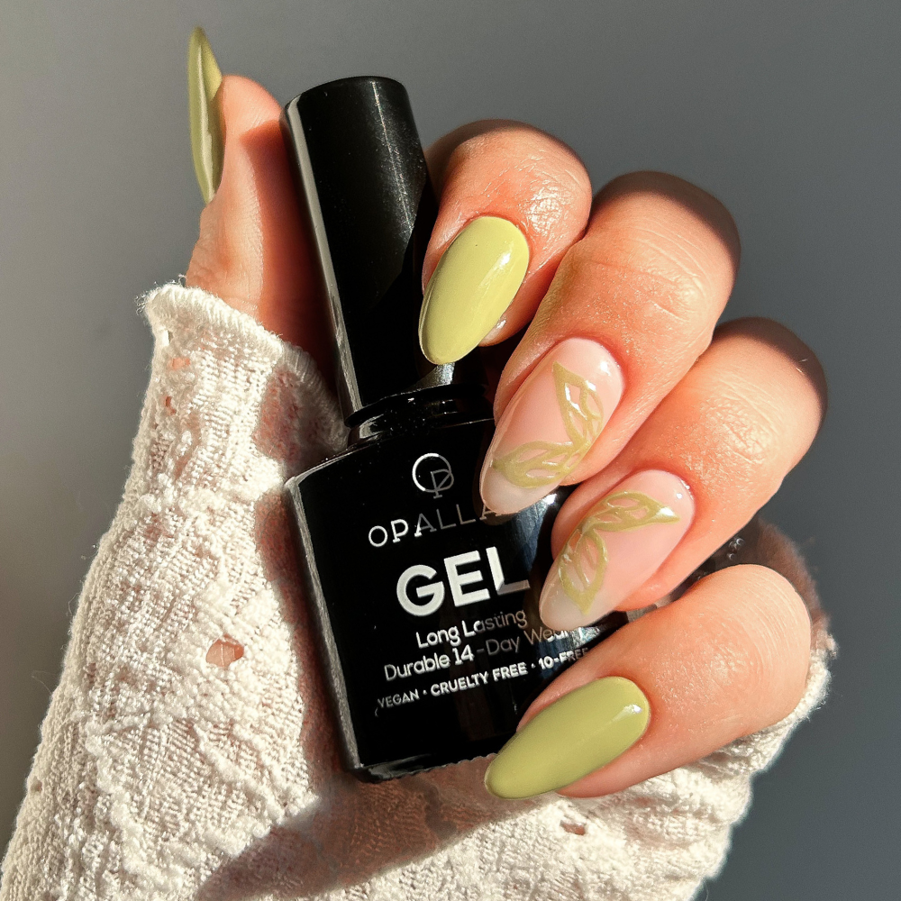 Load image into Gallery viewer, Pistachio