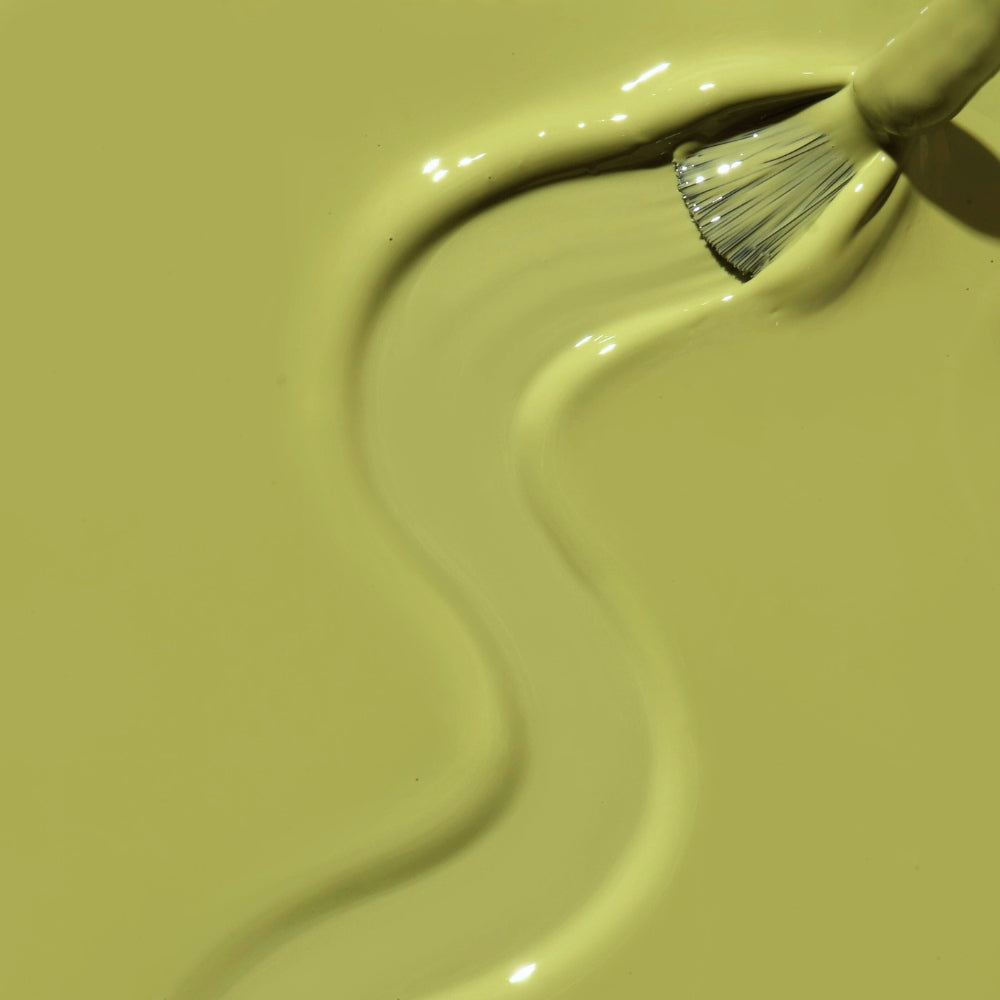 Load image into Gallery viewer, Pistachio