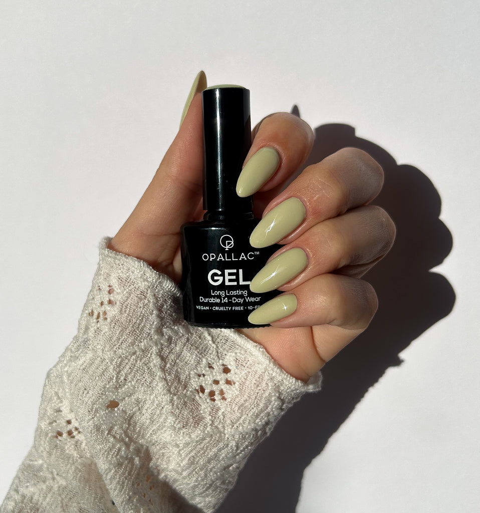 Load image into Gallery viewer, Sage