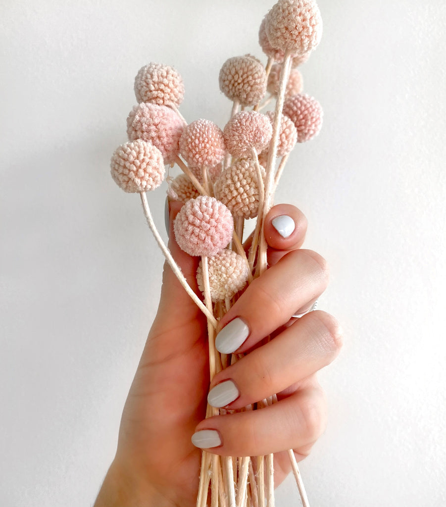 Load image into Gallery viewer, Opulent