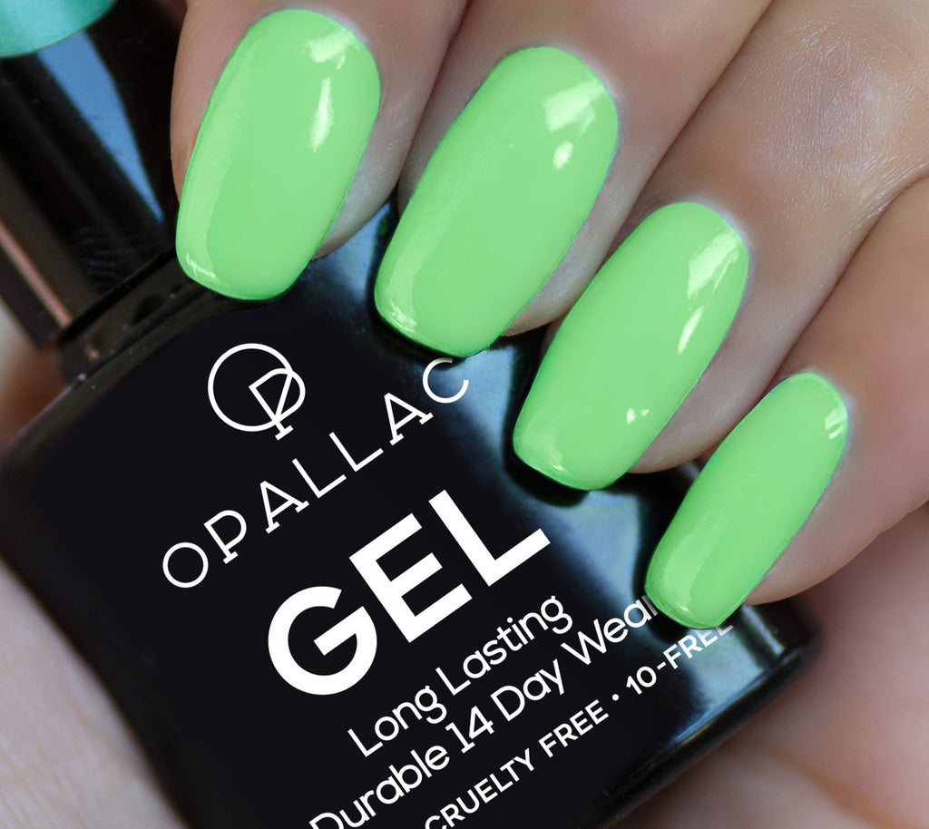 Load image into Gallery viewer, Candyman Can