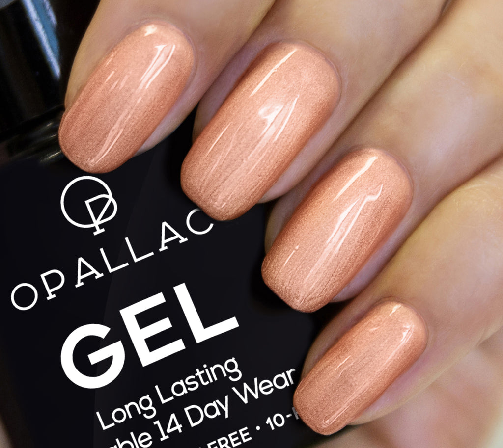 Load image into Gallery viewer, Shampers