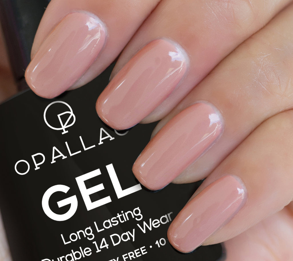 Load image into Gallery viewer, Soy Capp