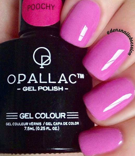 Load image into Gallery viewer, Poochy