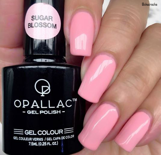 Load image into Gallery viewer, Sugar Blossom