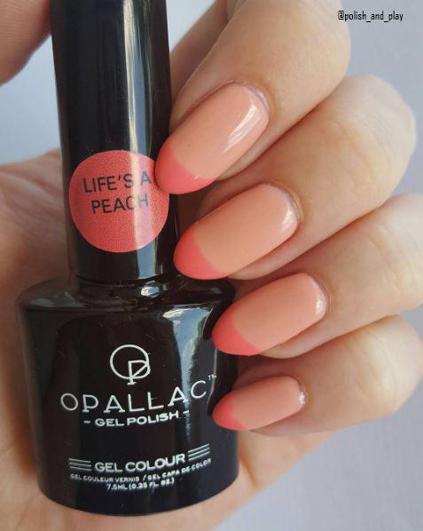 Load image into Gallery viewer, Babes in Bondi