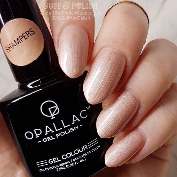 Load image into Gallery viewer, Shampers