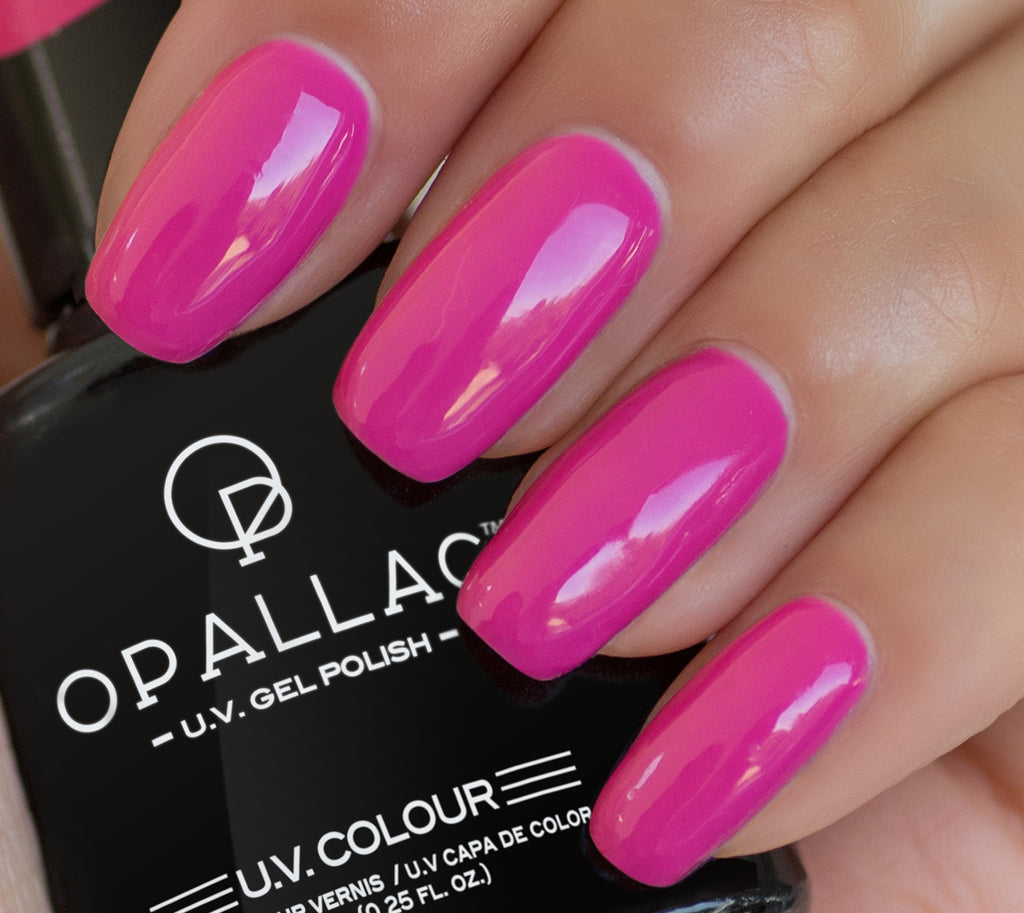 Load image into Gallery viewer, Poochy & Red Carpet Queen