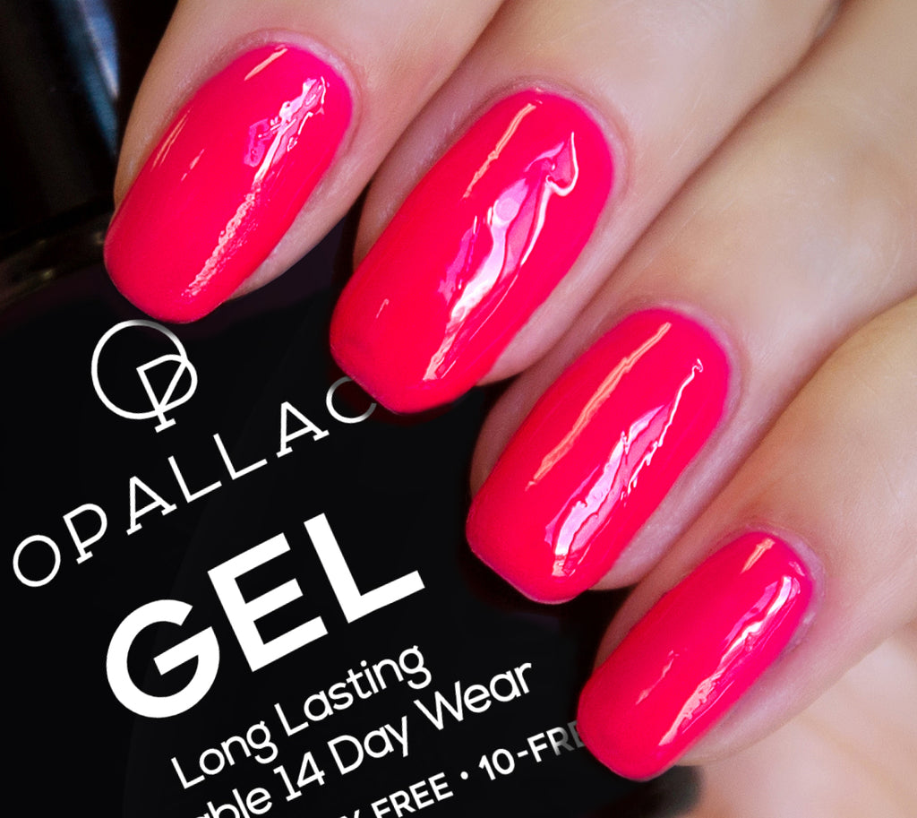 Load image into Gallery viewer, Go Gaga