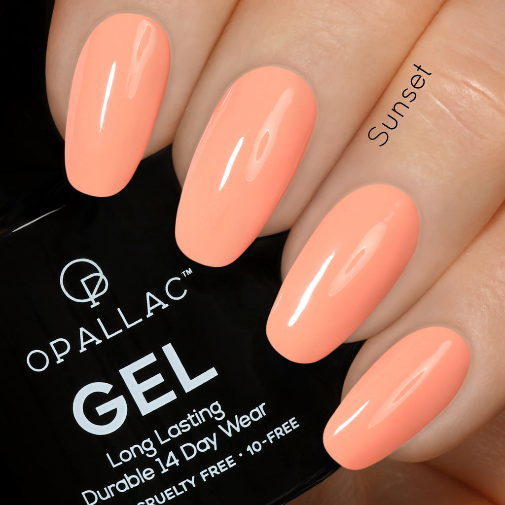 Load image into Gallery viewer, Oasis Gel Palette