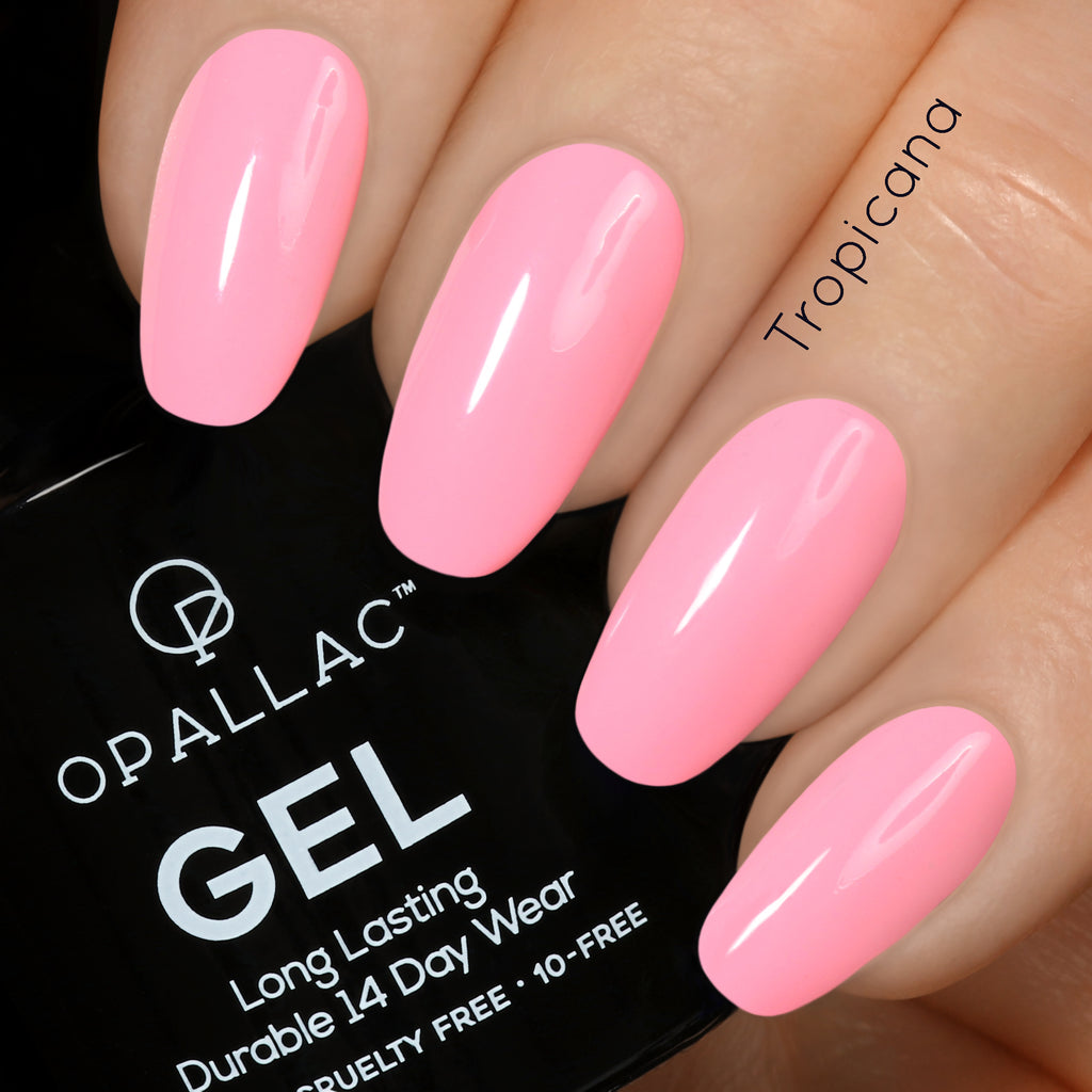 Load image into Gallery viewer, Oasis Gel Palette