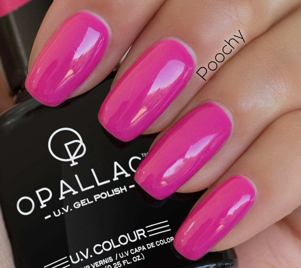 Load image into Gallery viewer, Poochy Gel Starter Kit