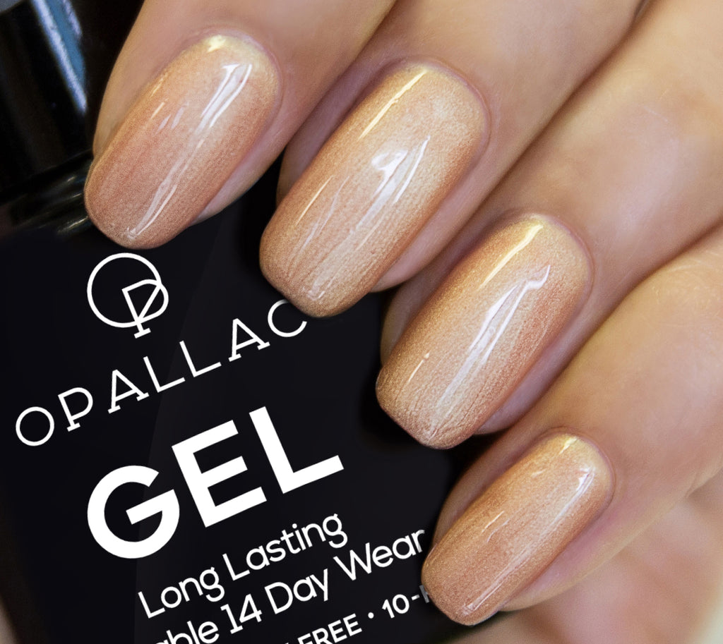 Load image into Gallery viewer, Shampers Gel Starter Kit