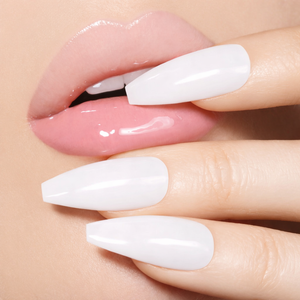 French Lace <BR> ✨NEW✨