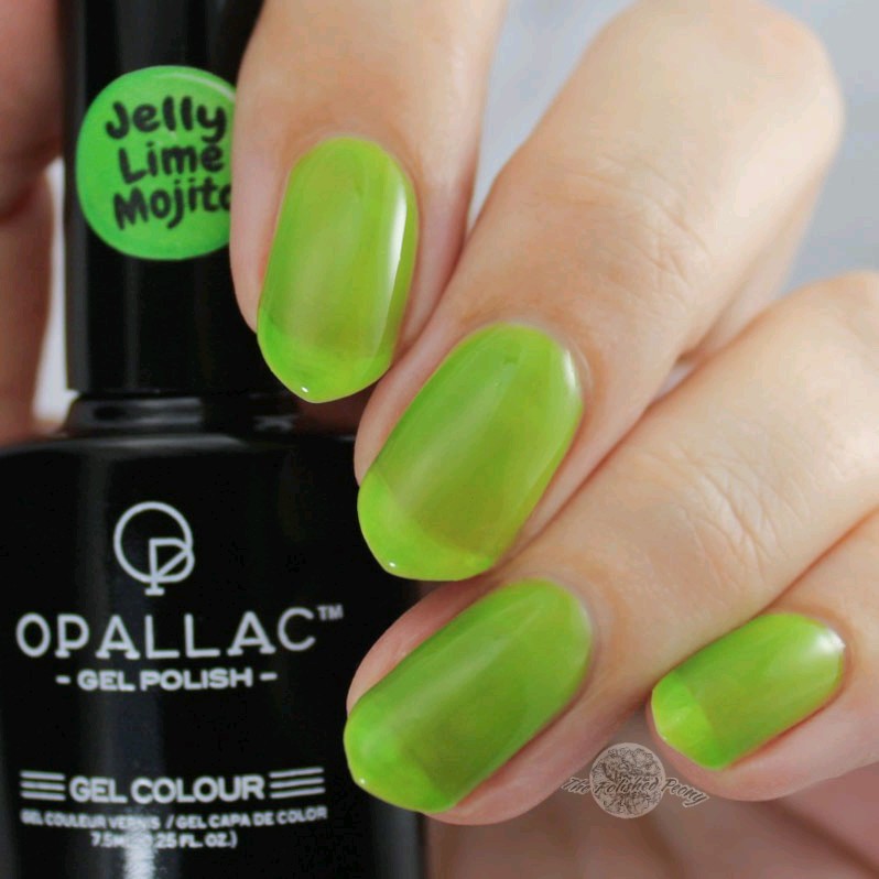 Load image into Gallery viewer, Jelly LIME MOJITO
