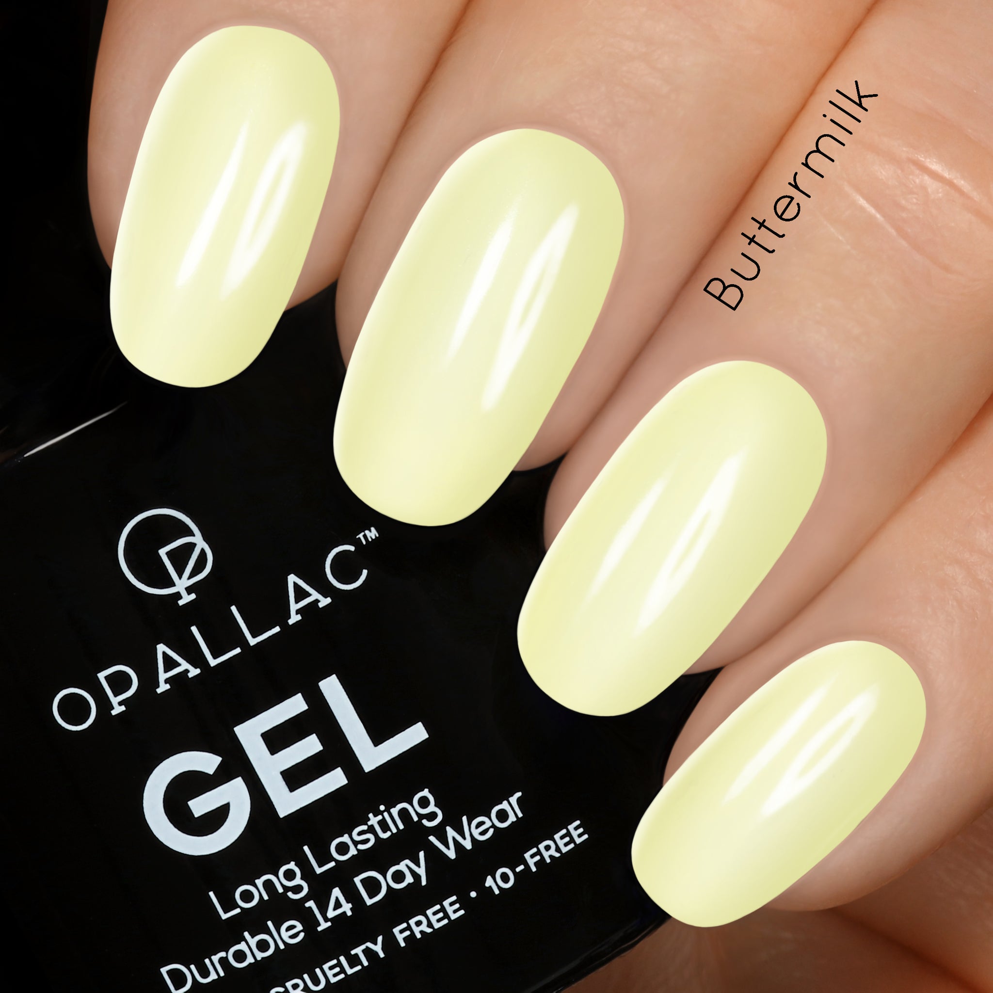 Nail Polish Palette with Brush, 16 Colour Solid Cream Gel Nail Polish –  EveryMarket